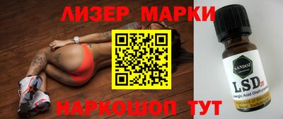 прущие грибы Обь