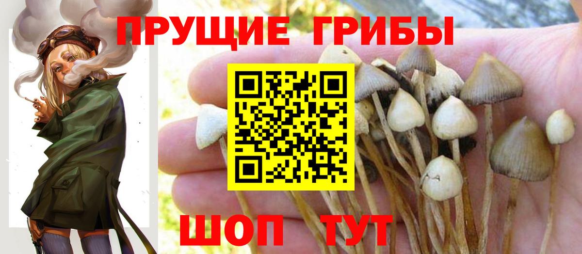 Псилоцибиновые грибы MAGIC MUSHROOMS  Вход с VPN  Обнинск 